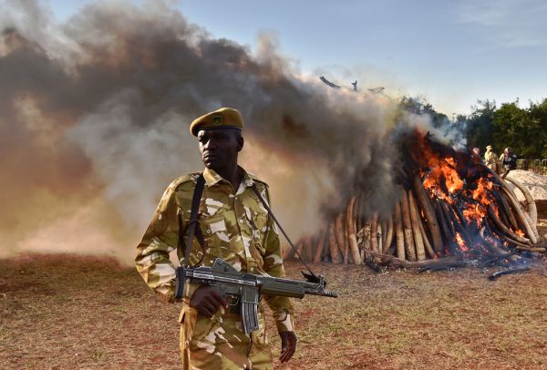 droni contro bracconieri, la caccia è aperta, corno d'africa