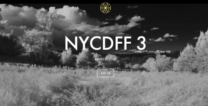 nydff-new-york-drone-film-festival-2017-festival-droni-categorie-show
