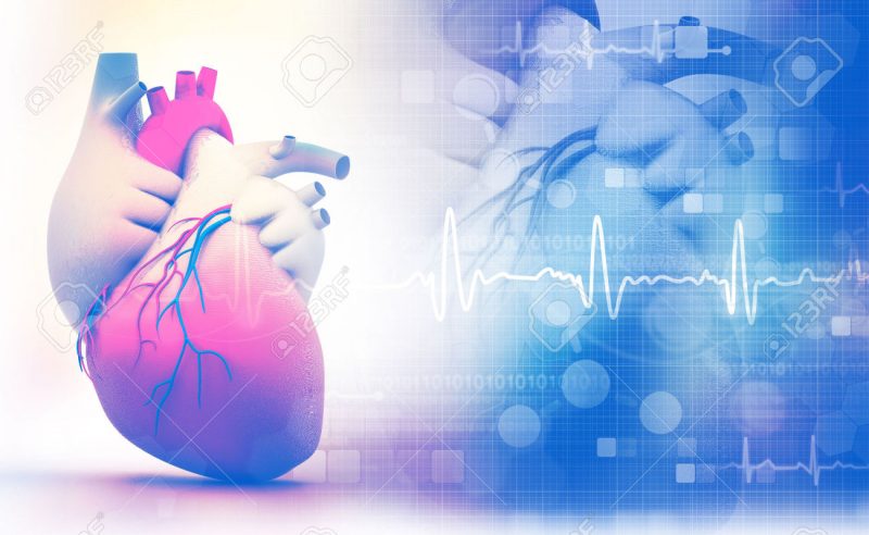 63085044-Cuore-umano-con-ECG-grafico-su-sfondo-bianco-Archivio-Fotografico