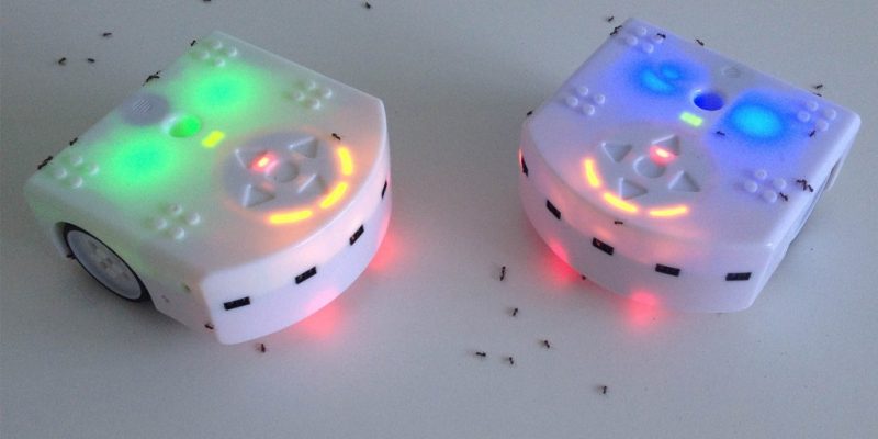 robot formiche esperimento
