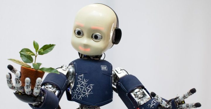 Icub Humanoid Robot