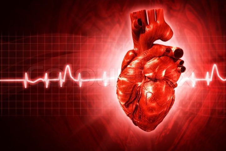 4702027-ecg-abstract-backgrounds-with-human-3d-rendered-heart 4702027-ecg-abstract-backgrounds-with-human-3d-rendered-heart