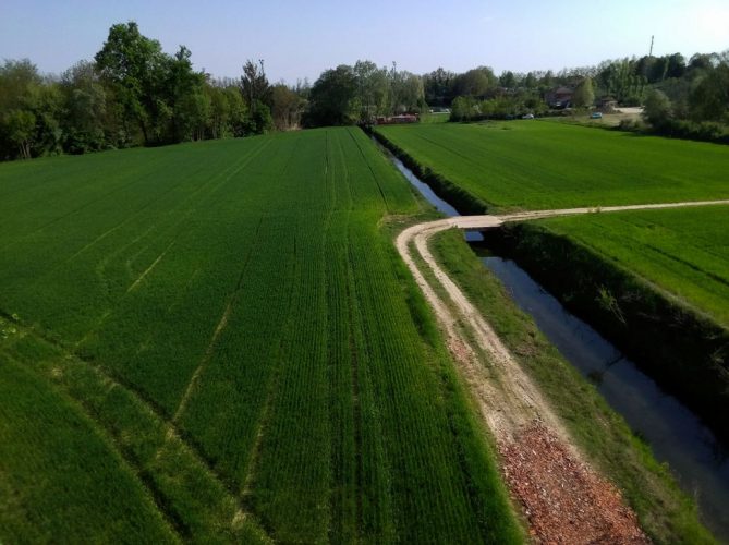 dji tello foto campi