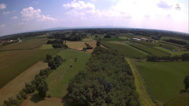 Foto MJX Bugs 5w (4)