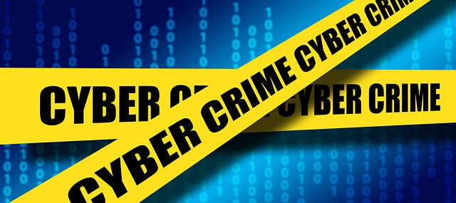 Trojan Bancari scoperti da Check Point Software Technologies Trojan Bancari