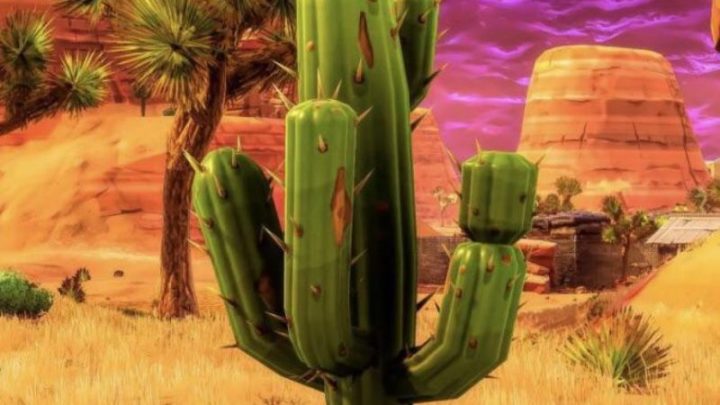 distruggi cactus nel deserto fortnite
