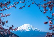 App per Vedere le Montagne: le migliori 5 app per vedere le montagne