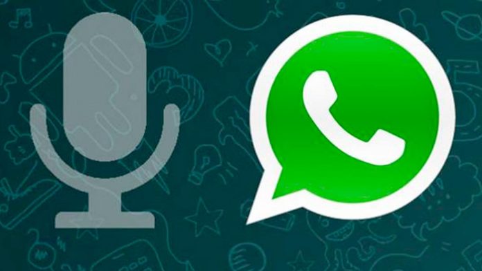 whatsapp note vocali
