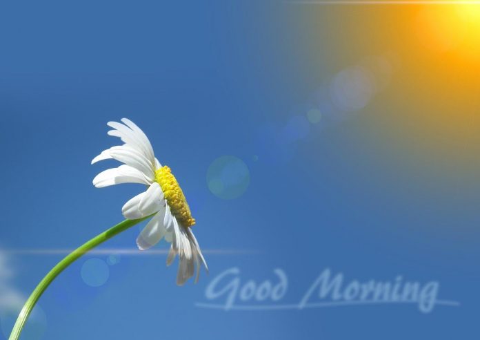 immagini-buongiorno-da-scaricare-gratis immagini-buongiorno-da-scaricare-gratis