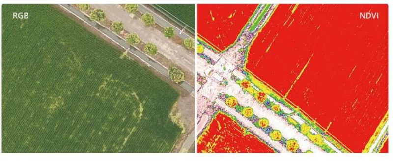 DJI Phantom 4 Multispectral rgb ndvi