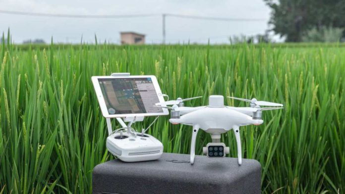 DJI Phantom 4 Multispectral specifiche