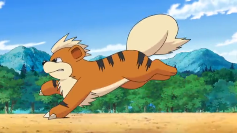 A Che Livello Si Evolve Buizel