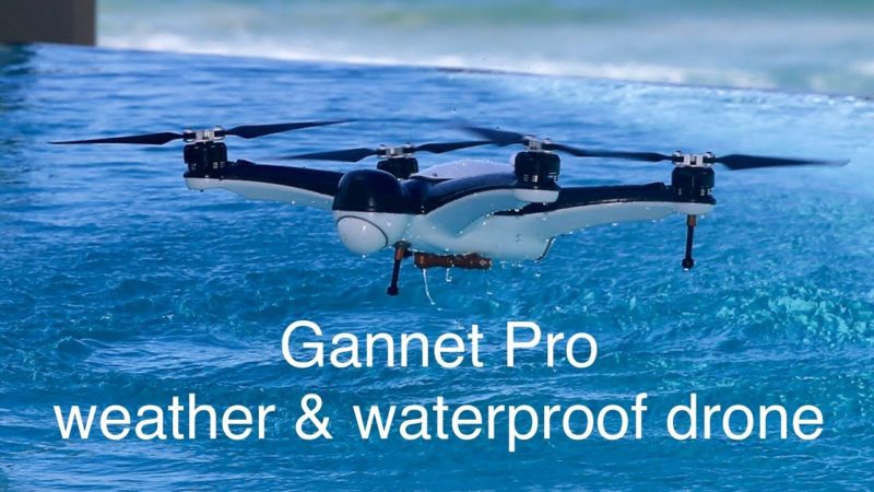 droni gannet -2