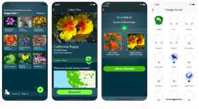 applicazioni per riconoscere le piante-seek