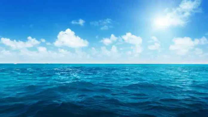 Entrata per carica di Smartphone Bagnata con Acqua di mare Entrata per carica di Smartphone Bagnata con Acqua di mare