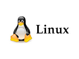 Distribuzione Linux Multimedia-3