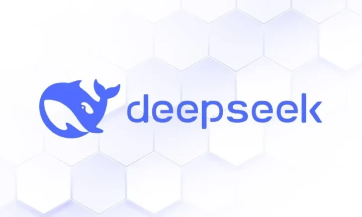 come funziona deepseek-2