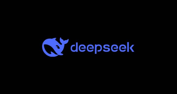 come funziona deepseek-3