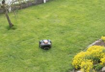 Sfida Tra Robot Tagliaerba: Quale Modello Offre Le Migliori Prestazioni Nel 2026? migliori robot tagliaerba