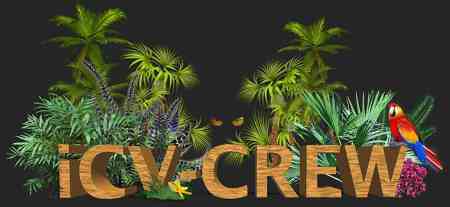 icv crew-2